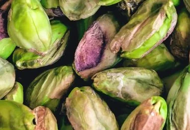 La pistache s’invite dans nos parfums : décryptage d’une tendance beauté gourmande