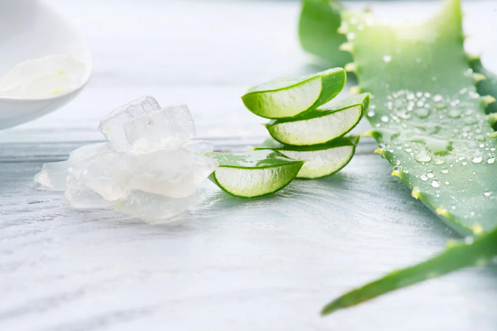 aloe-vera-bienfaits-recettes-maison-peau