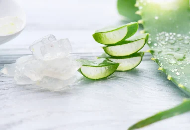 Les vertus de l’Aloé vera et 4 recettes DIY pour sublimer votre peau