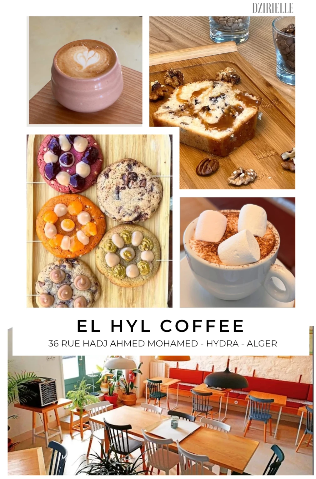 coffee-shop-alger-el-hyl-hydra