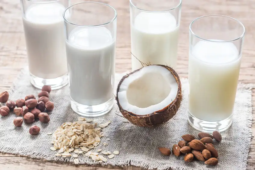 Les laits végétaux : une alternative chic et nutritive au lait de vache