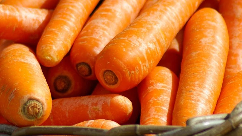 Recettes Carotte