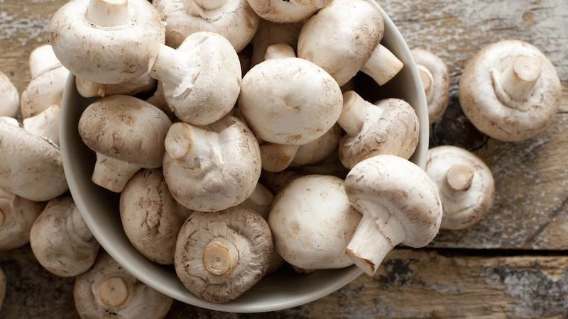 Recettes Champignon
