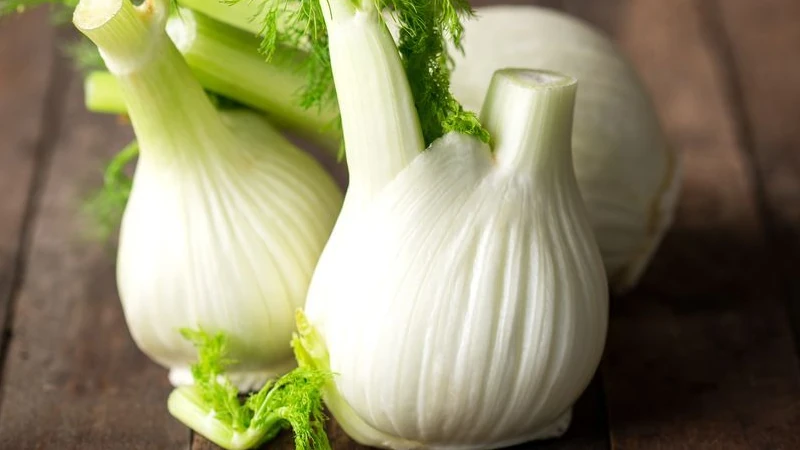 Recettes Fenouil