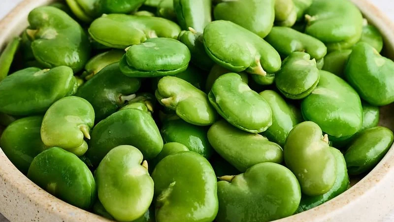 Recettes Fève