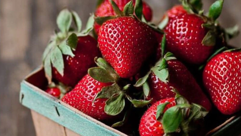 Recettes Fraise