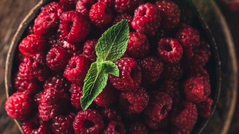 Recettes Framboise