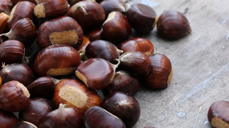 Recettes Marron