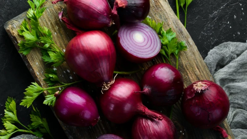 Recettes Oignon