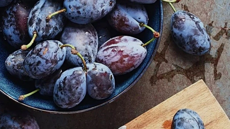 Recettes Pruneau