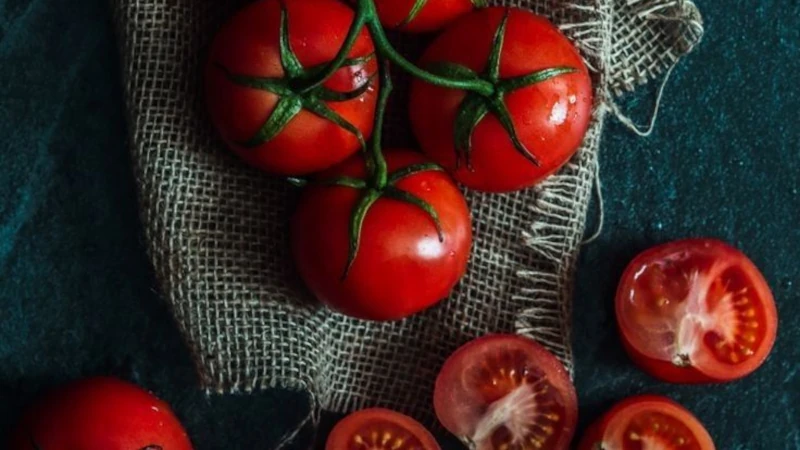 Recettes Tomate