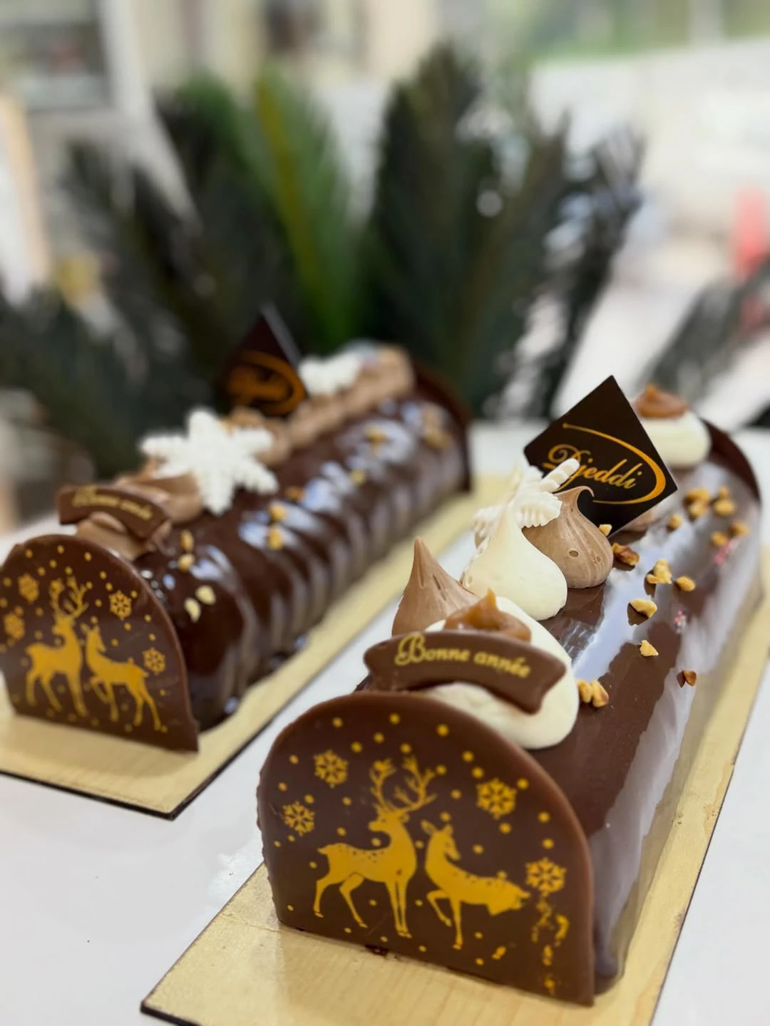 La Bûche en Algérie : Le dessert qui fait trembler les plateaux télé français