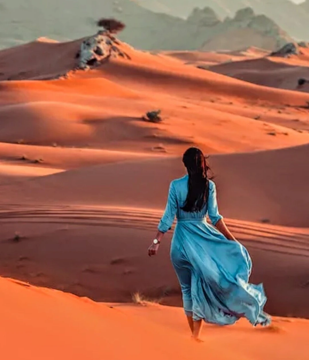 celibattantes-algeriennes